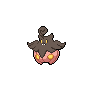 Large Pumpkaboo