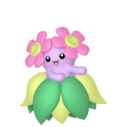 Joliflor