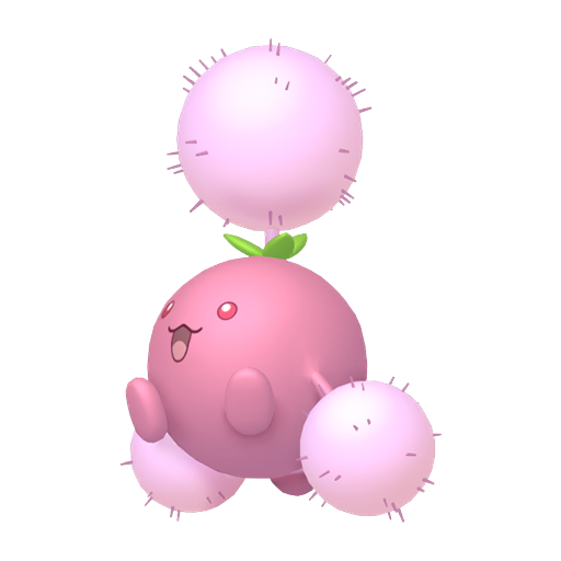 Cotovol