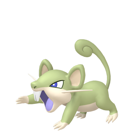 Rattata