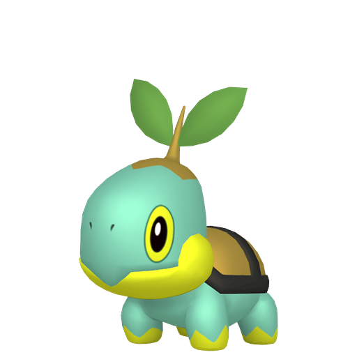 Tortipouss