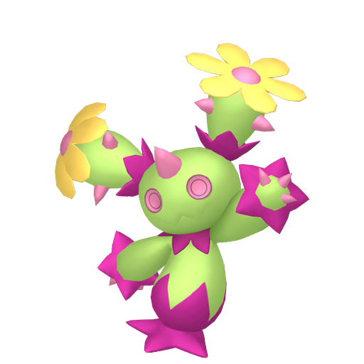 Maracachi