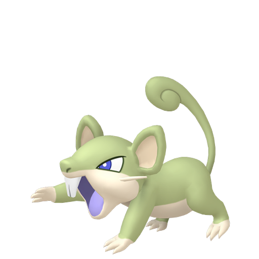 Rattata