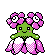 Joliflor