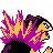 Typhlosion