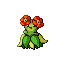 Joliflor