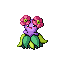 Joliflor
