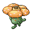Rafflesia