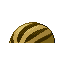 Marcacrin