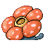 Rafflesia