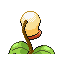 Chétiflor
