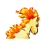 Ponyta