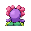 Joliflor