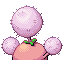 Cotovol