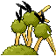Dodrio