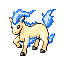 Ponyta