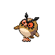 Hoothoot