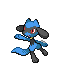 Riolu