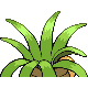 Noadkoko