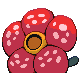 Rafflesia