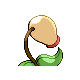 Chétiflor