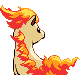 Ponyta