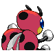 Coxyclaque