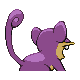 Rattata