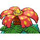 Florizarre