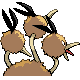 Dodrio