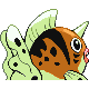 Poissoroy