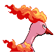 Sulfura