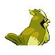 Roucool