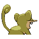 Rattata