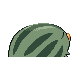 Marcacrin