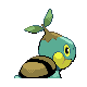 Tortipouss
