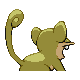 Rattata