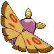 Papinox