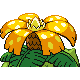 Florizarre
