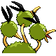 Dodrio