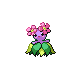 Joliflor