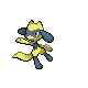 Riolu