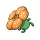 Rafflesia