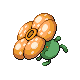 Rafflesia