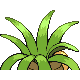 Noadkoko