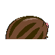 Marcacrin
