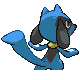 Riolu