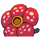 Rafflesia