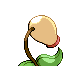 Chétiflor