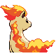 Ponyta